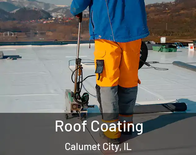  Roof Coating Calumet City, IL