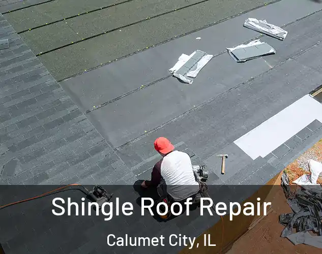  Shingle Roof Repair Calumet City, IL